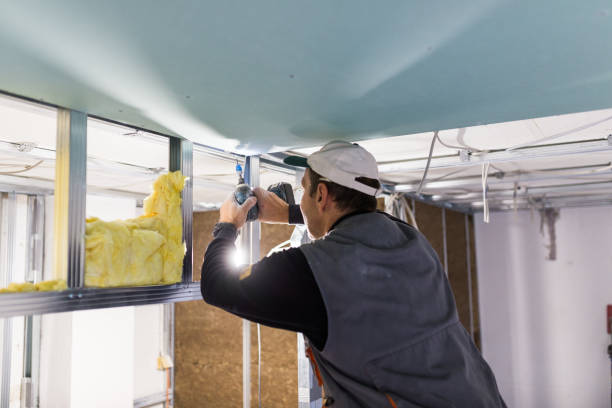 Types of Insulation We Offer in Plains, MT