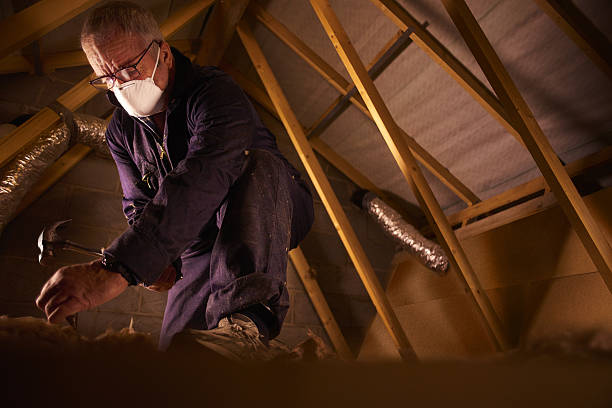 Best Specialized Insulation Services in Plains, MT